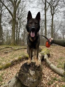 17c08f36-df1d-4126-b66b-edae8d804fcd