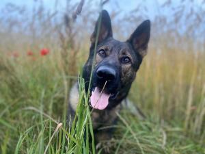 24a23cb0-0001-4890-bd07-e6a169df54ca