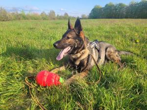 4851481c-a3a7-4ff2-adc6-8d419d36a962