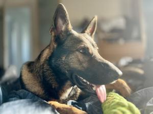 63a0b8de-08c6-4442-8cf3-b83840b09492