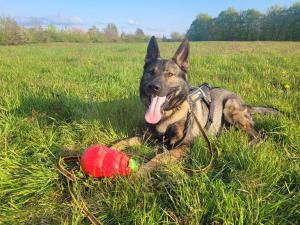 e8b36b37-2112-46d4-9341-5339e31d0e9d